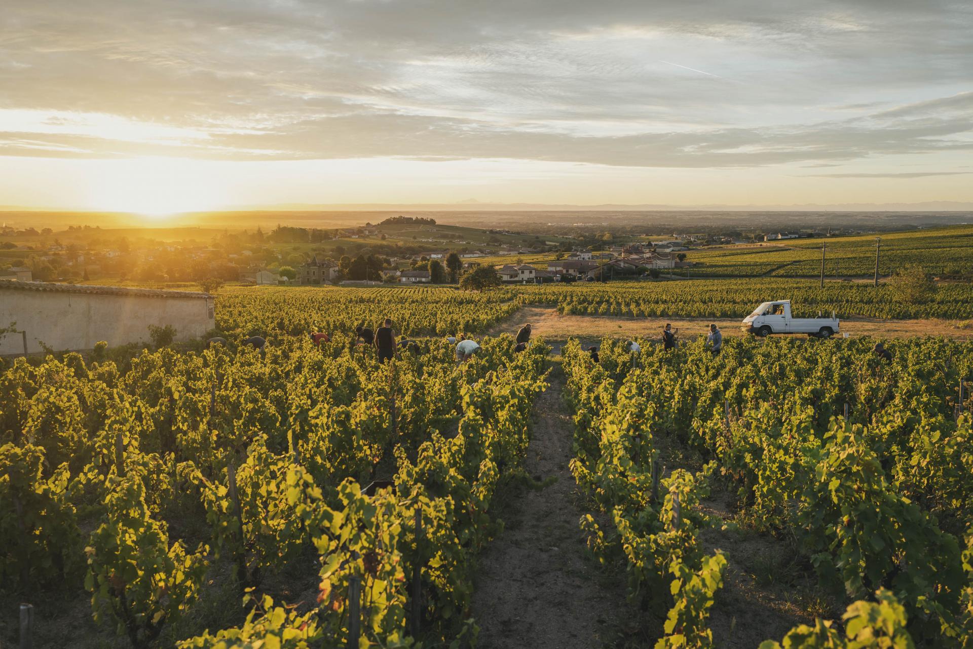 Domaine Jean-Claude Lapalu